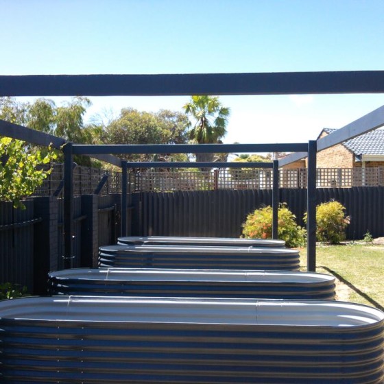 Raised Garden Beds