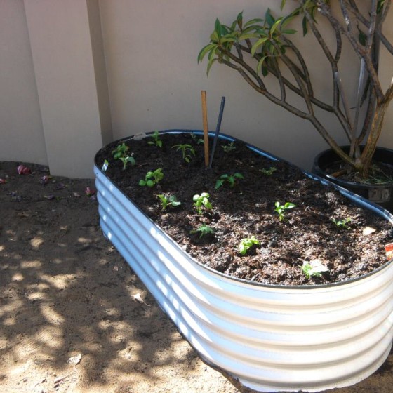 Medium Garden Package