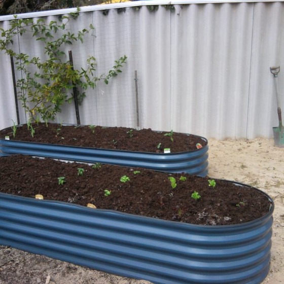 Large Garden Package