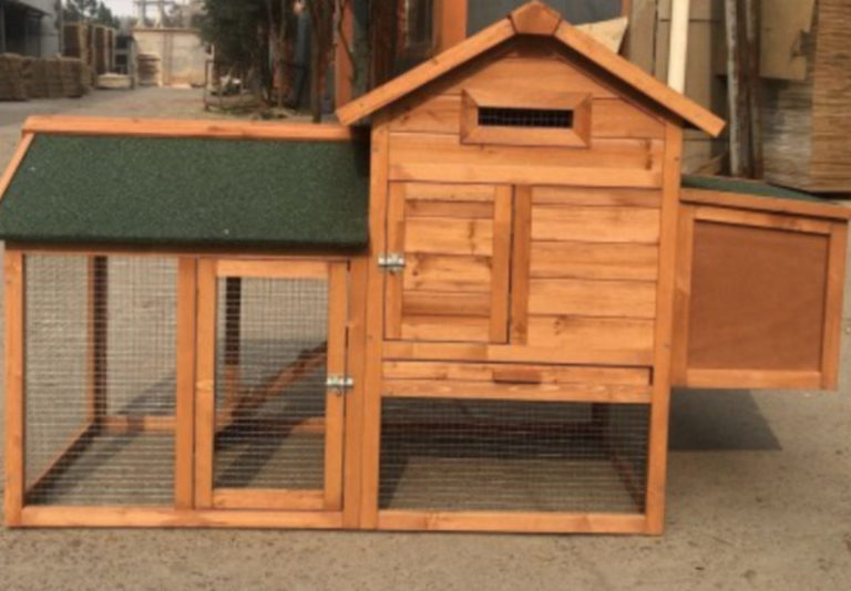 Beginners Chicken Coop Suburban Farmer