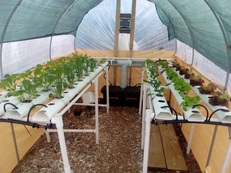 IMG_20250701_085132 IMG_20250701_085132