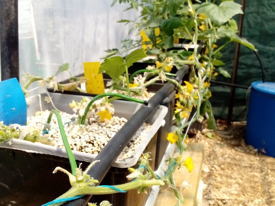 IMG_20251227_103735 IMG_20251227_103735